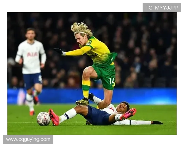 诺维奇足球俱乐部历史发展与辉煌成就回顾